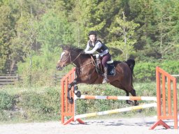 IMG_0646_web